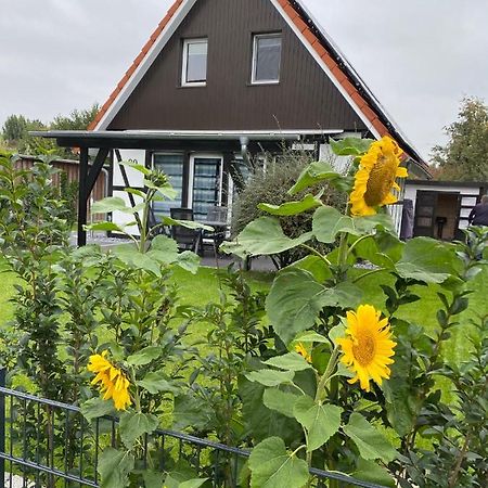 Ferienhaus Kiebitz Dorumer Neufeld Luaran gambar